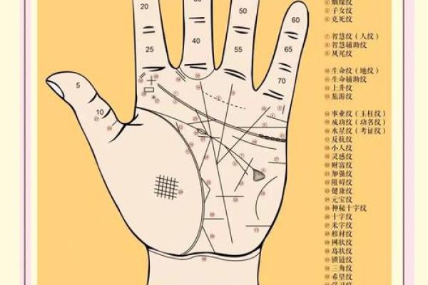 红痣手相揭秘：运势大逆袭的秘密武器！