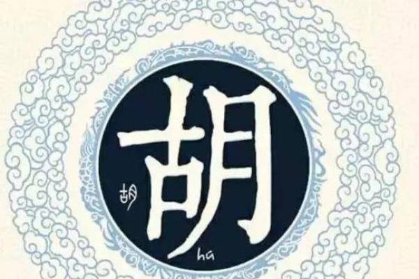 胡新雨：雨润新生，胡姓风华，人生运势璀璨如星辰