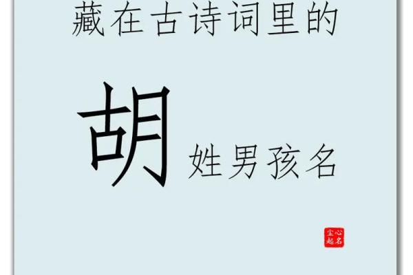 胡新雨：雨润新生，胡姓风华，人生运势璀璨如星辰