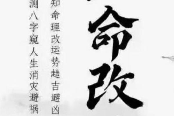 刘丰：丰盈人生，丰收未来——揭秘姓名中的运势密码