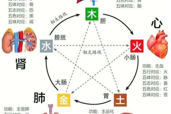五行相生相克：地支五大支点的神秘法则