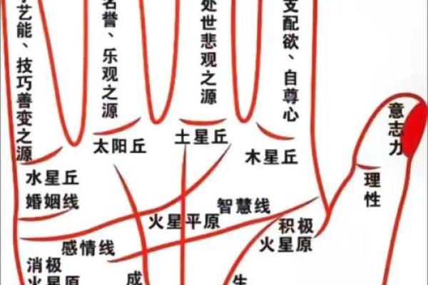 生病线在手，健康运势揭秘！