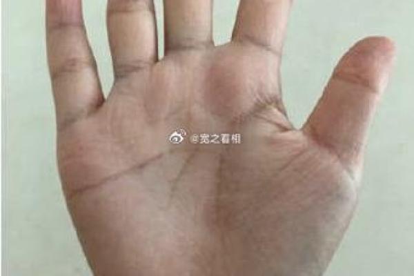 手上乾坤：儿女命理在手相中，一眼洞察你的育儿之路！