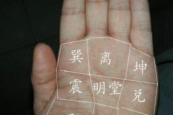 天王纹秘术：揭秘命运转折的神秘手相