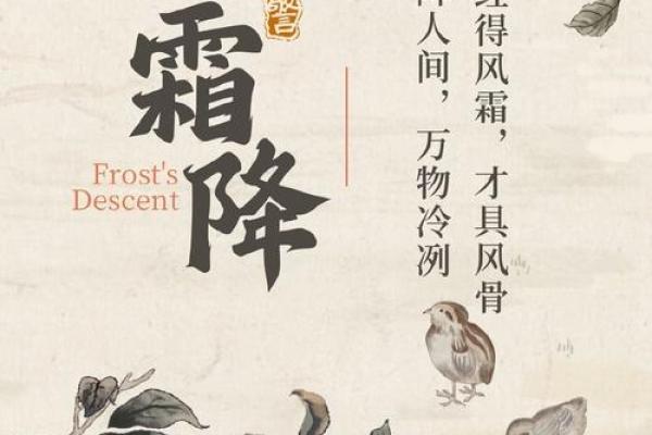 寒露霜降，重阳登高
