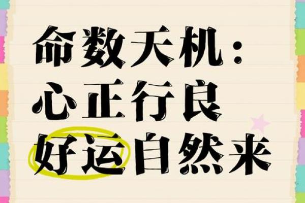 天机昭示：揭秘你的人生运势密码