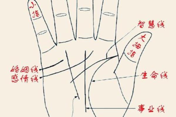 手相中的财富密码：虎口位置透露财运秘密