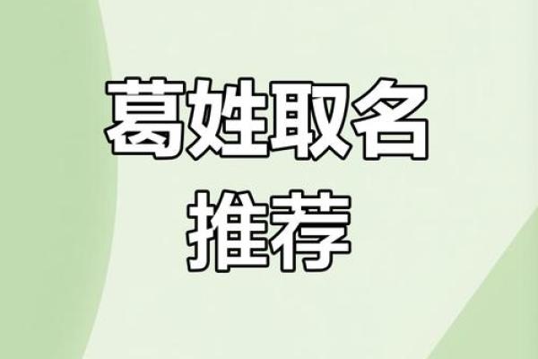 葛姓男宝宝名字雅选