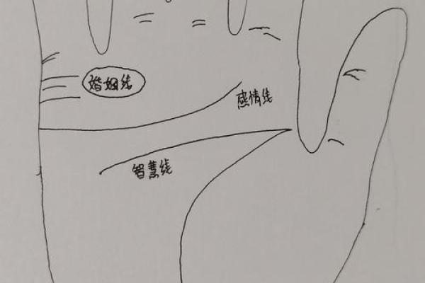 一招轻松读懂手相，揭秘命运密码！