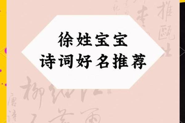 徐瞻：展望未来，瞻望辉煌——揭秘徐姓男孩姓名运势之美