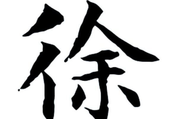 徐瞻：展望未来，瞻望辉煌——揭秘徐姓男孩姓名运势之美