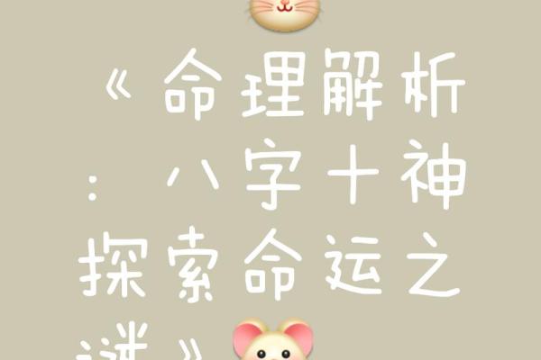 解锁命运密码：揭秘你的命理纹魅力