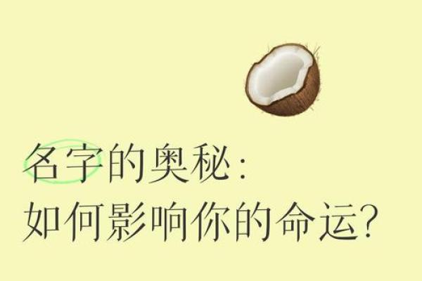 姓名的力量：揭秘名字对命运的影响