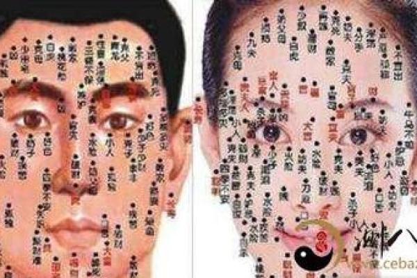 面相痣相大揭秘：谁是你的财富象征？