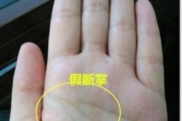 手相女字现，探寻男人不为人知的秘密！