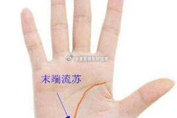 手相女字现，探寻男人不为人知的秘密！