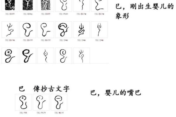 巴文化图腾：传承千年的传统文化符号