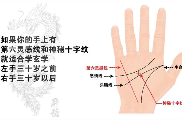 易经智慧解码，揭秘手相奥秘！