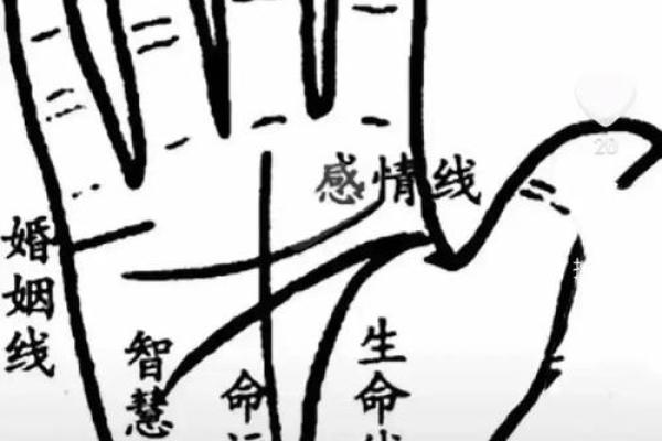 易经智慧解码，揭秘手相奥秘！