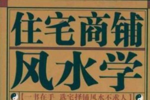中州玄空风水学在商铺选址中的运用技巧