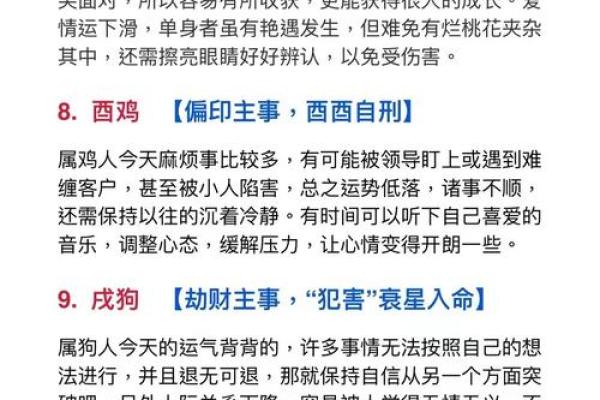 白家泽：名扬四海，泽被后世——解码名字中的运势奥秘