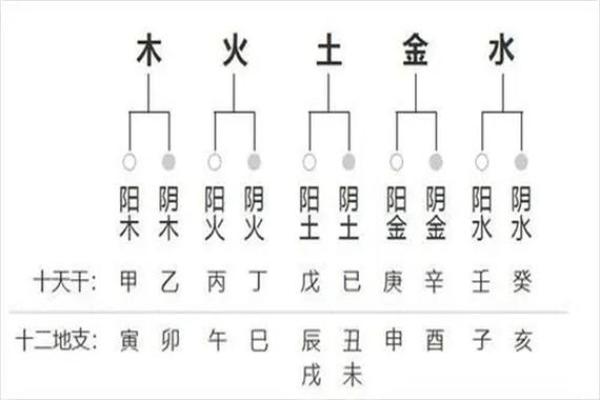 揭示生辰八字在财富运势中的重要作用