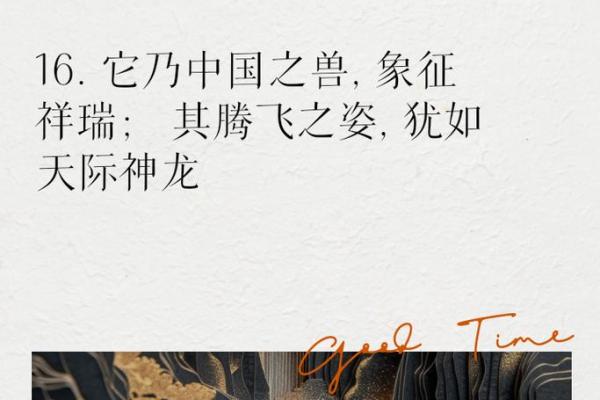 龙腾四海，五行运势助力事业腾飞