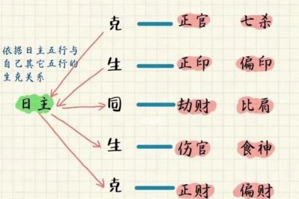八字命理必备：十二地支详解，看懂你的命运密码
