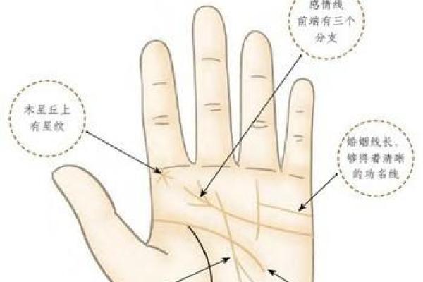 未来赢家必备：揭秘成功者手相奥秘