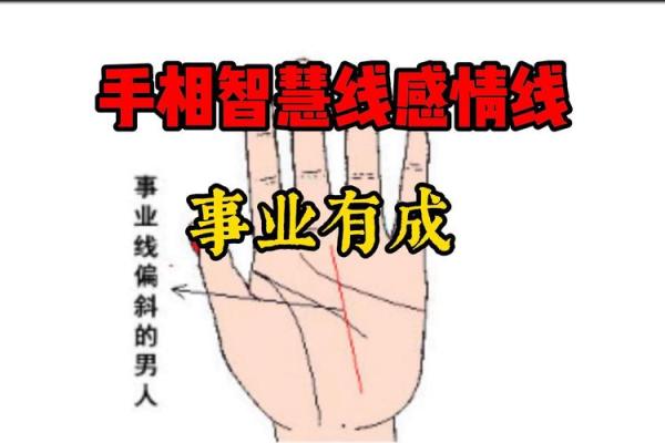 未来赢家必备：揭秘成功者手相奥秘