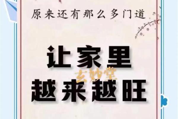 每日家居风水小技巧，让家变得更温馨