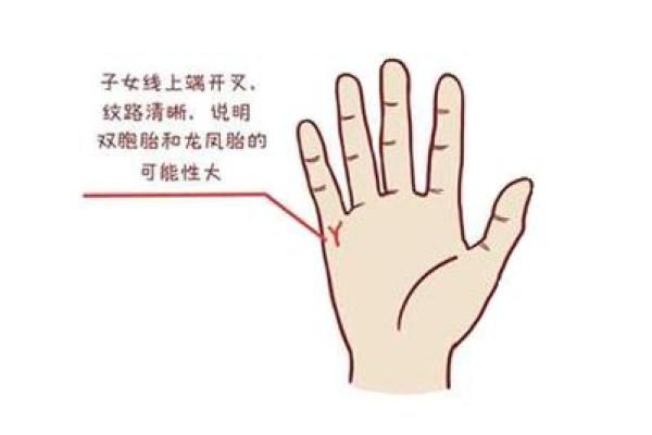 手指间的秘密：双胞胎的独特手相解析