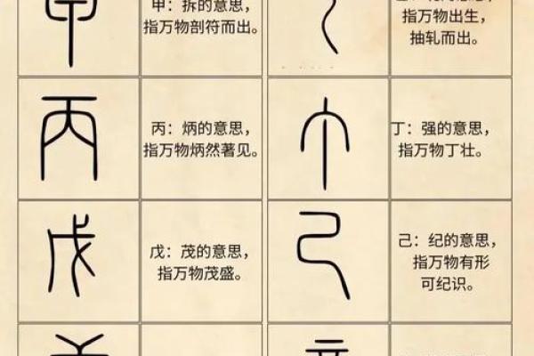 五行与人生，十天干十二地支的智慧指引