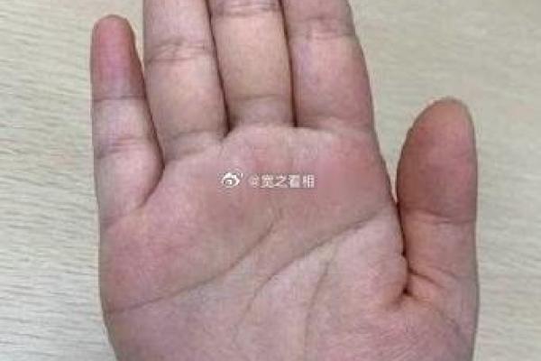 掌中秘密，揭秘你的运势
