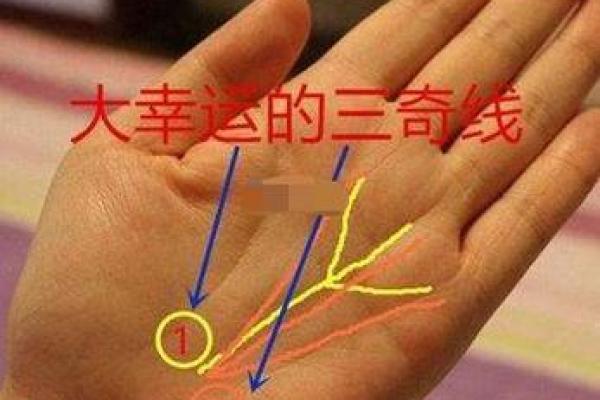 掌中秘密，揭秘你的运势