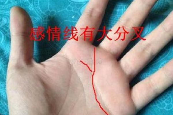 川字纹女性掌中藏，命运轨迹一目了然
