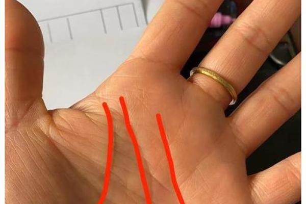 川字纹女性掌中藏，命运轨迹一目了然