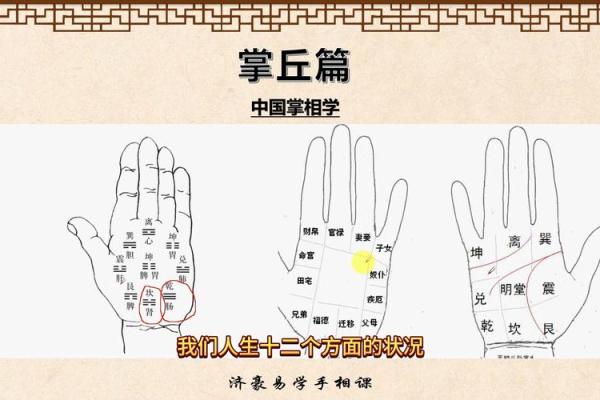 一掌在手，运势全知——易经手相学大揭秘！