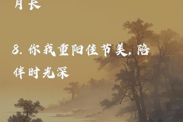 传统佳节，九月初五话重阳