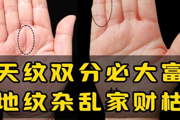 手相揭秘：地纹位置，财运福气的关键标志！