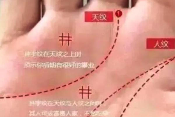 手相揭秘：地纹位置，财运福气的关键标志！