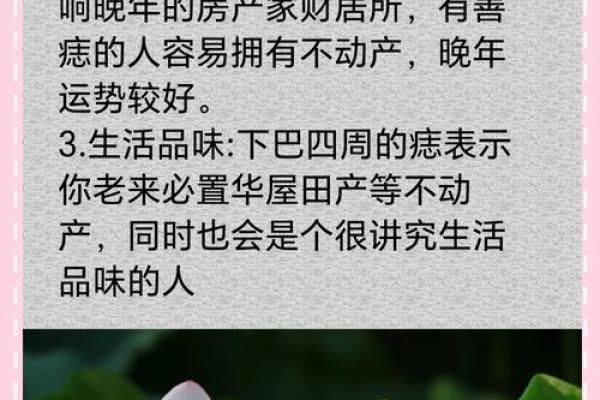 下巴小，运势旺，揭秘小下巴的神秘魅力！