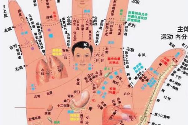 手掌秘语：揭秘右手手相的神奇奥秘
