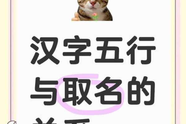 探索德字五行的奥秘与实际应用
