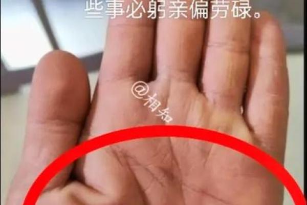 神秘锁链纹手相：揭秘你的宿命密码，解锁命运之门！