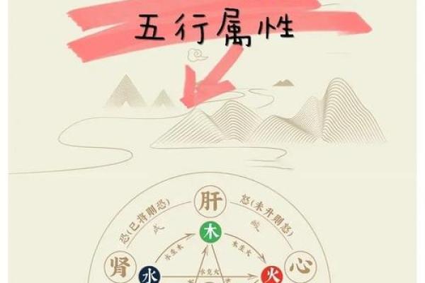 怡的五行解析与命理影响