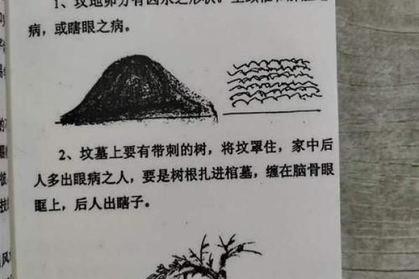 阴宅风水学在现代生活中的应用与误区