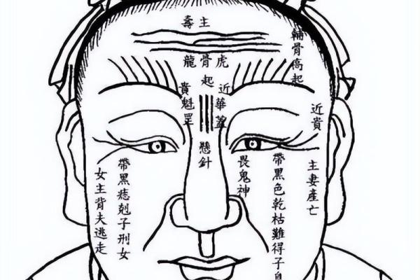 浓发厚颜，面相之中藏智慧
