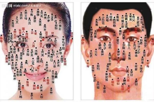 痣相决定命运？女性360度痣相大全带你揭秘神秘面相密码