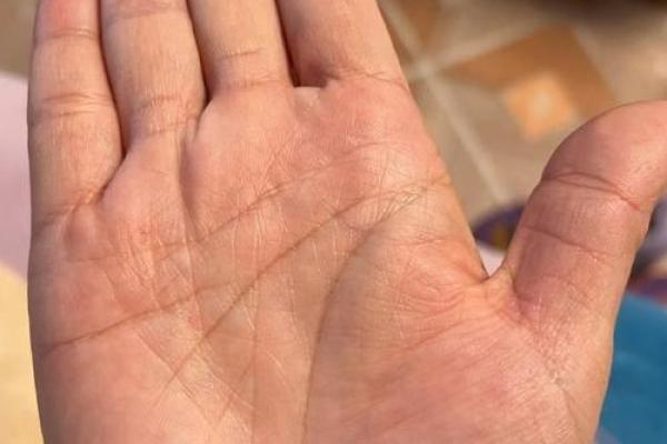 看掌识人：揭秘手相背后的惊人真相